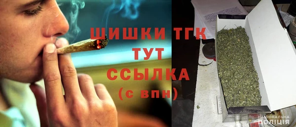 тгк Алзамай