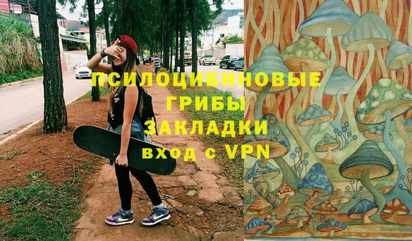 тгк Алзамай